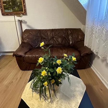 12 Apartamento Brühl